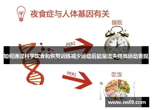 如何通过科学饮食和恢复训练减少运动后能量流失提高运动表现